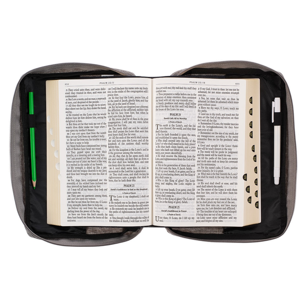 My Light and Salvation Gray Value Bible Cover