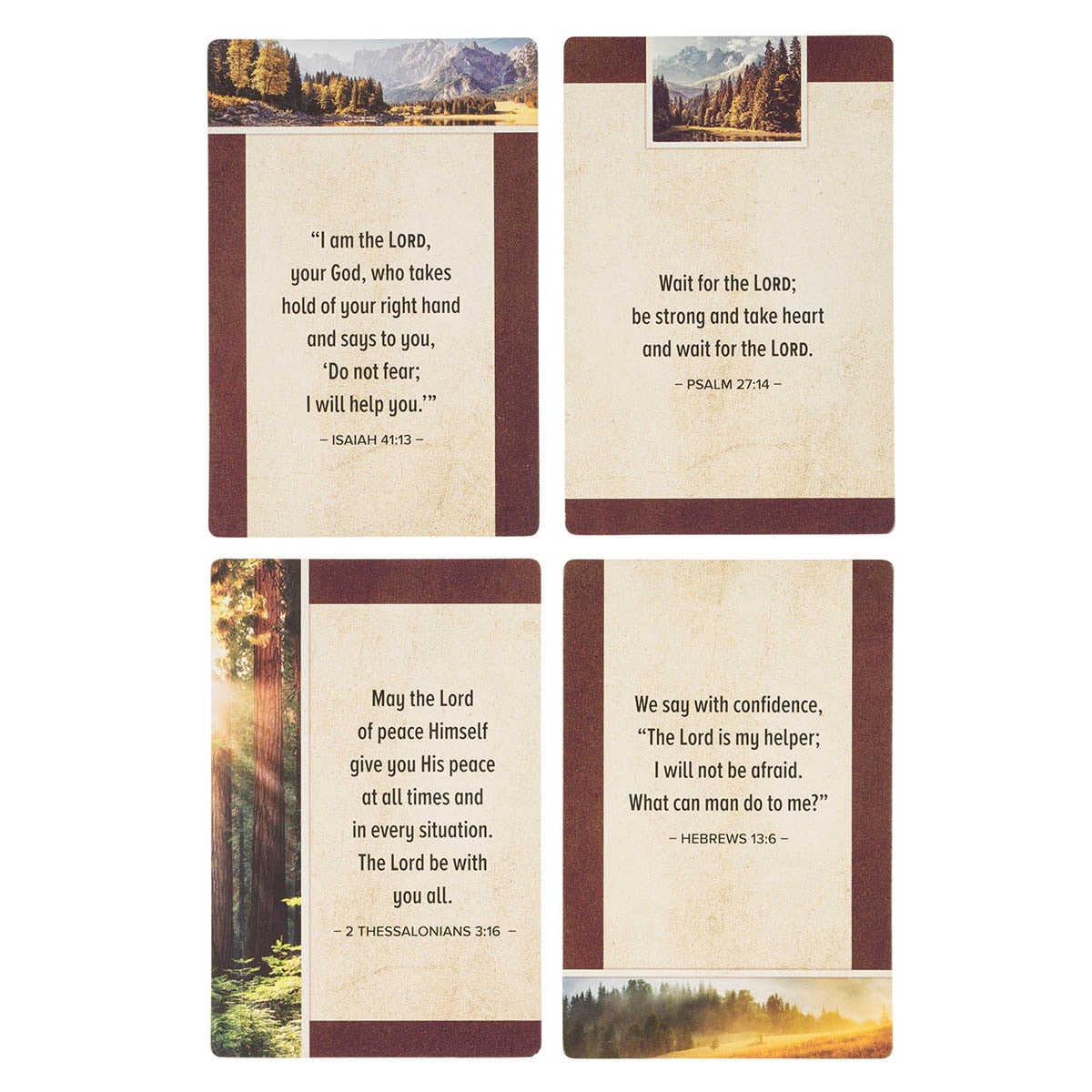 101 Favorite Bible Verses for Men Box of Blessings