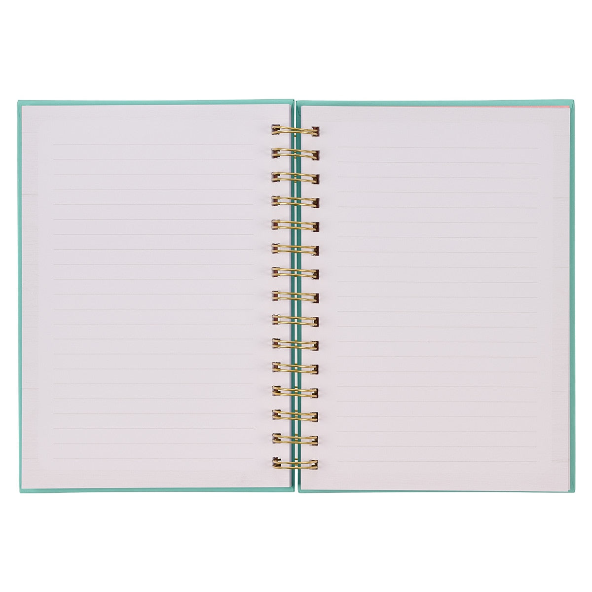 Hot Mess But I'm Blessed Wirebound Journal