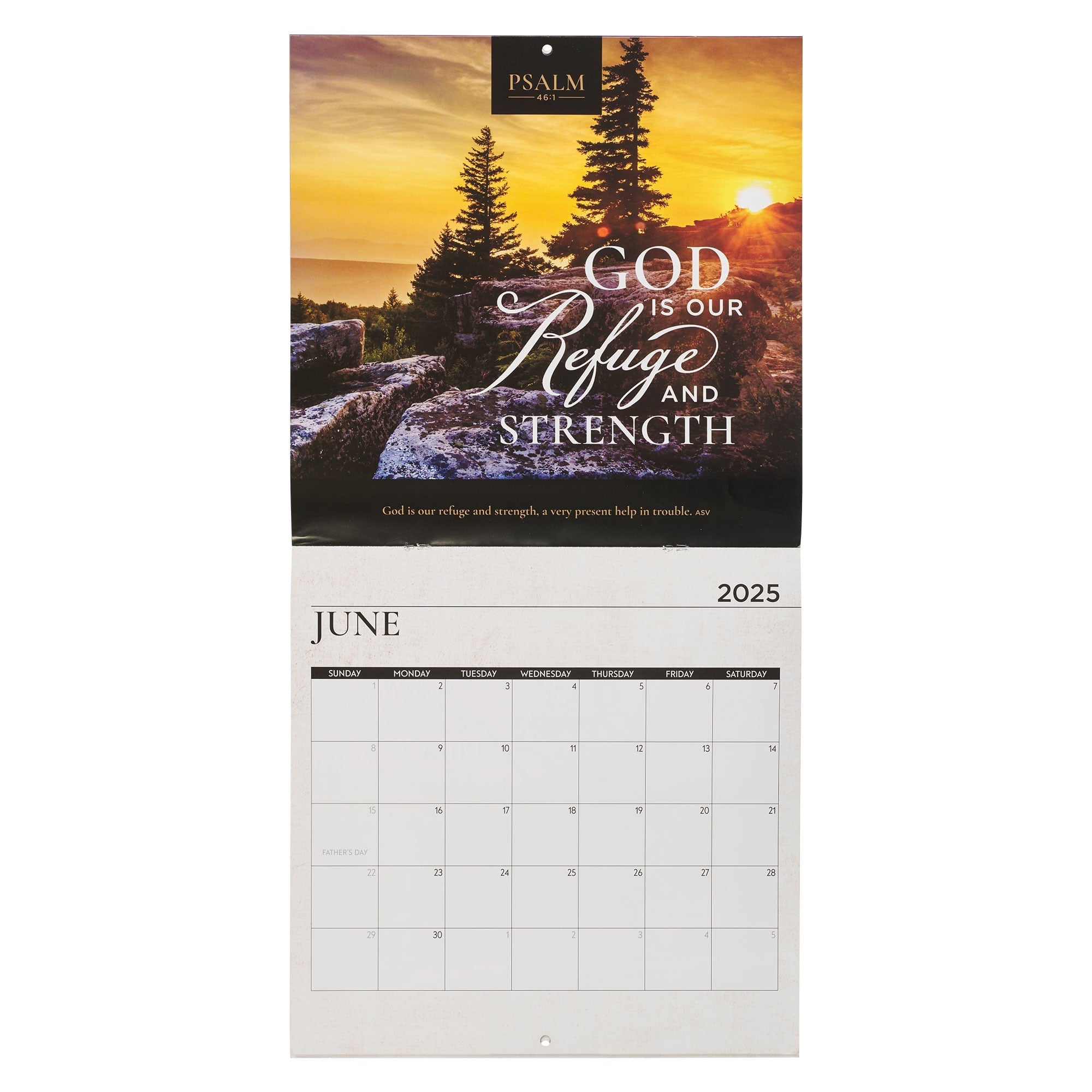 Psalms of Praise 2025 Large Wall Calendar