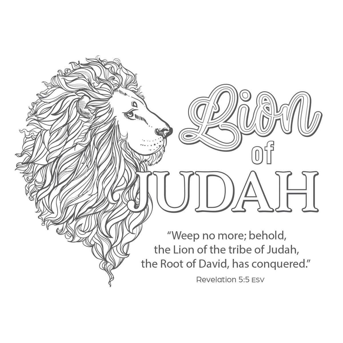 Coloring the Names of Jesus Boxed Cards