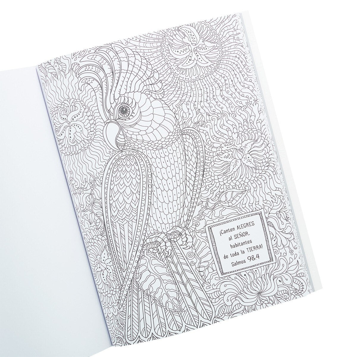 Libro para Colorear “Los Salmos en Color”