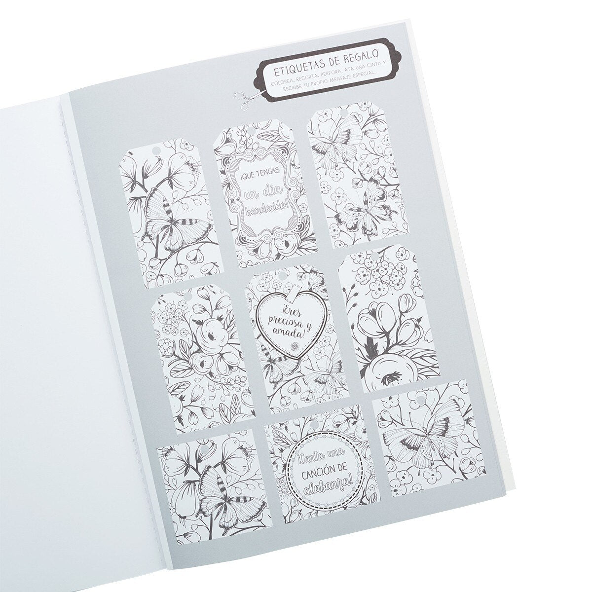 Libro para Colorear “Los Salmos en Color”