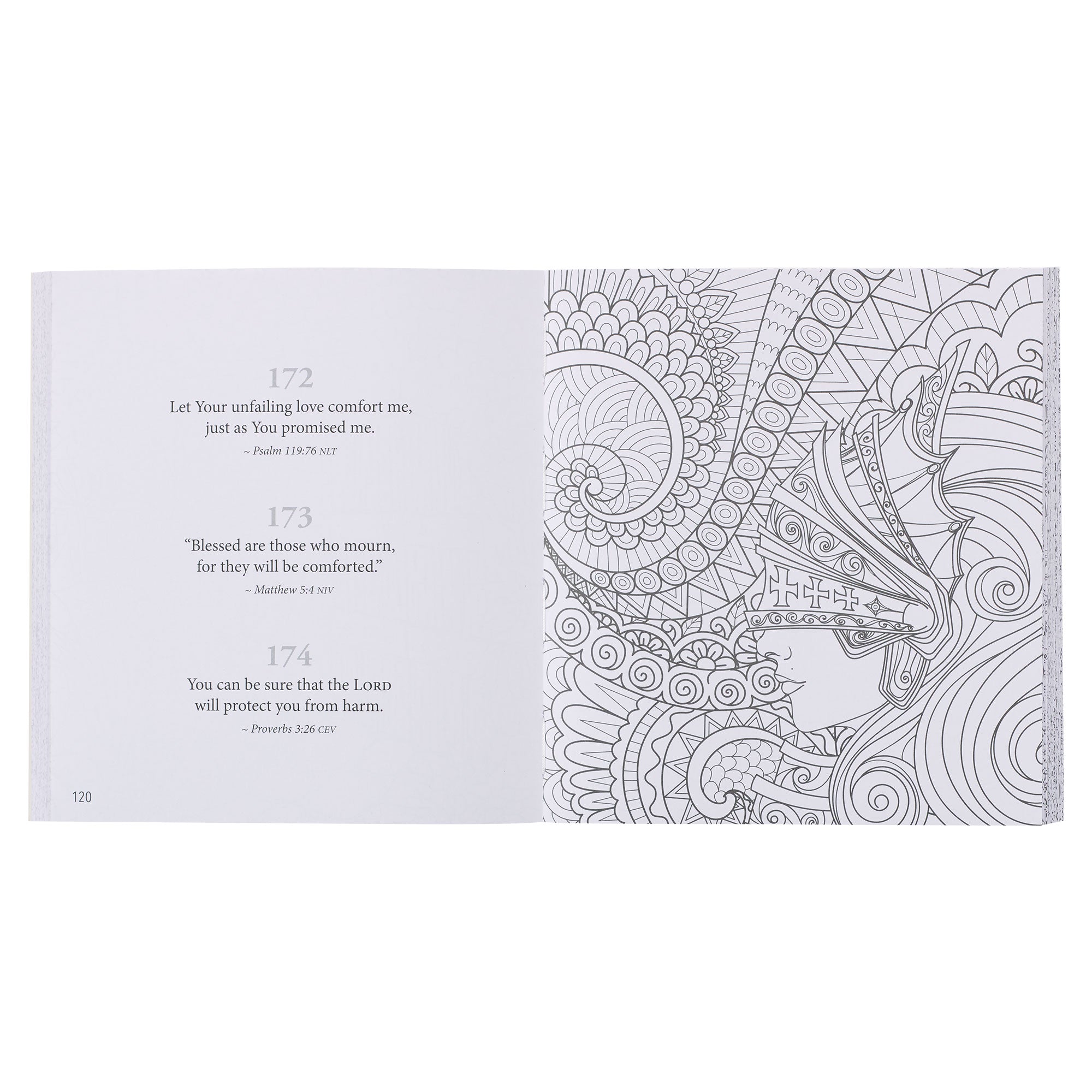 365 Promises from God's Word in Color Blue Floral Coloring Book