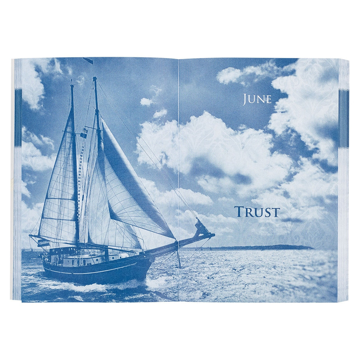 A Shelter From The Storm Softcover Devotional