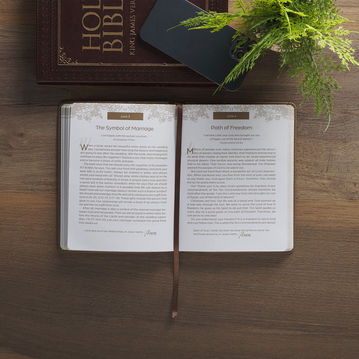 Rooted in Faith Brown Faux Leather Devotional
