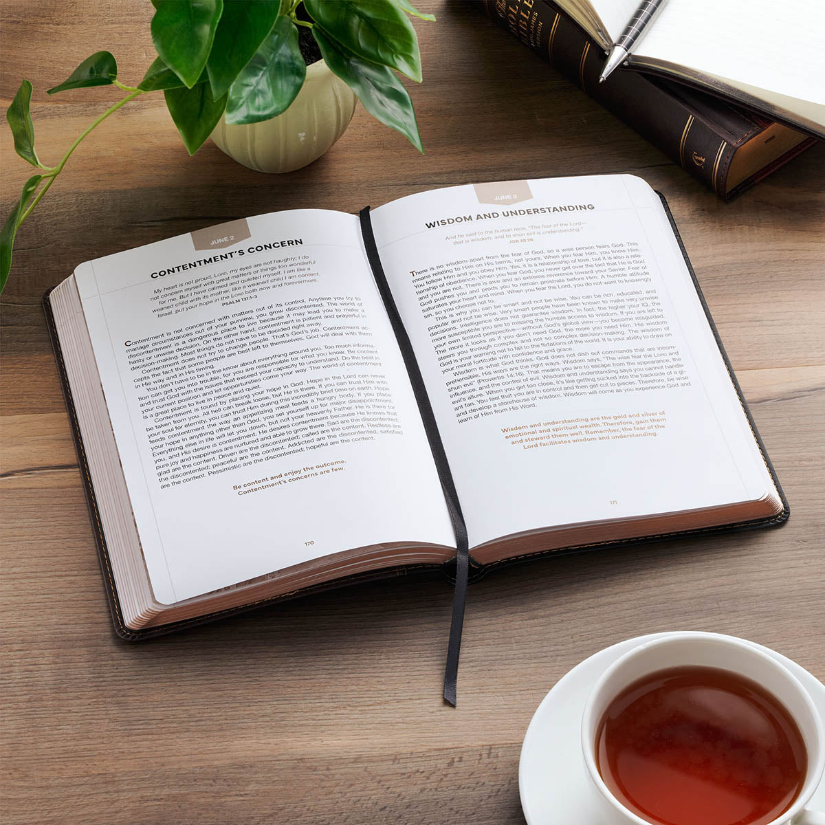 Man of God Two-Tone Brown Faux Leather Daily Devotional