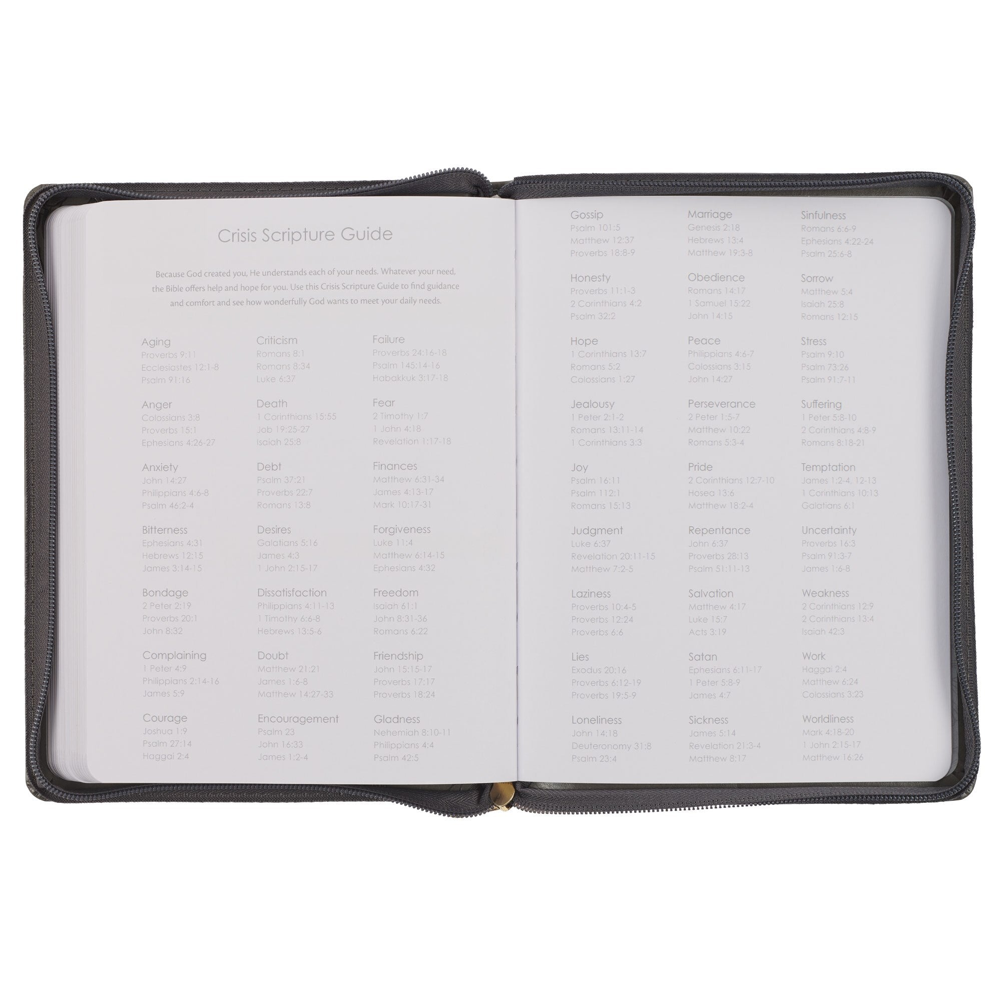 2025 Strength and Dignity Brown Faux Leather 18-Month Planner for Women  - Proverbs 31:25