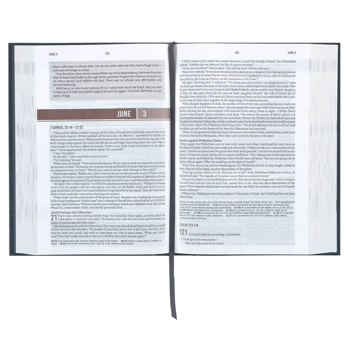 Navy Wave Hardcover NLT Everyday Devotional Bible for Men