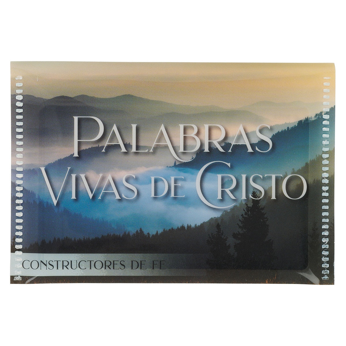 Conjunto Palabras Vivas de Jesús Constructores de Fe