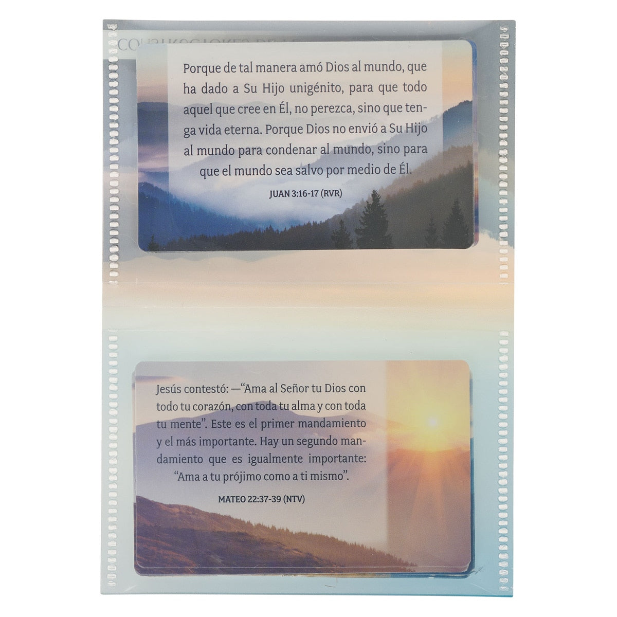 Conjunto Palabras Vivas de Jesús Constructores de Fe