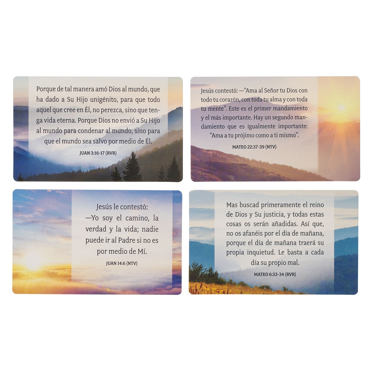 Conjunto Palabras Vivas de Jesús Constructores de Fe