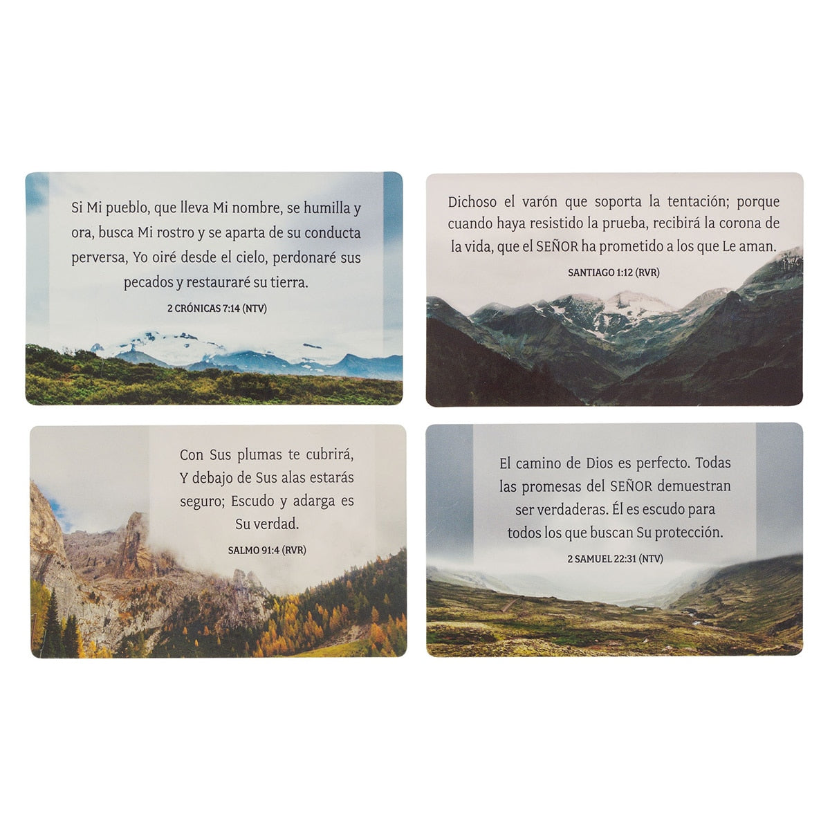 Conjunto Las promesas de Dios para ti Constructores de Fe