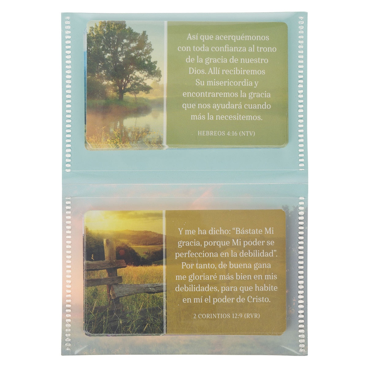 Conjunto Gracia para hoy Constructores de Fe