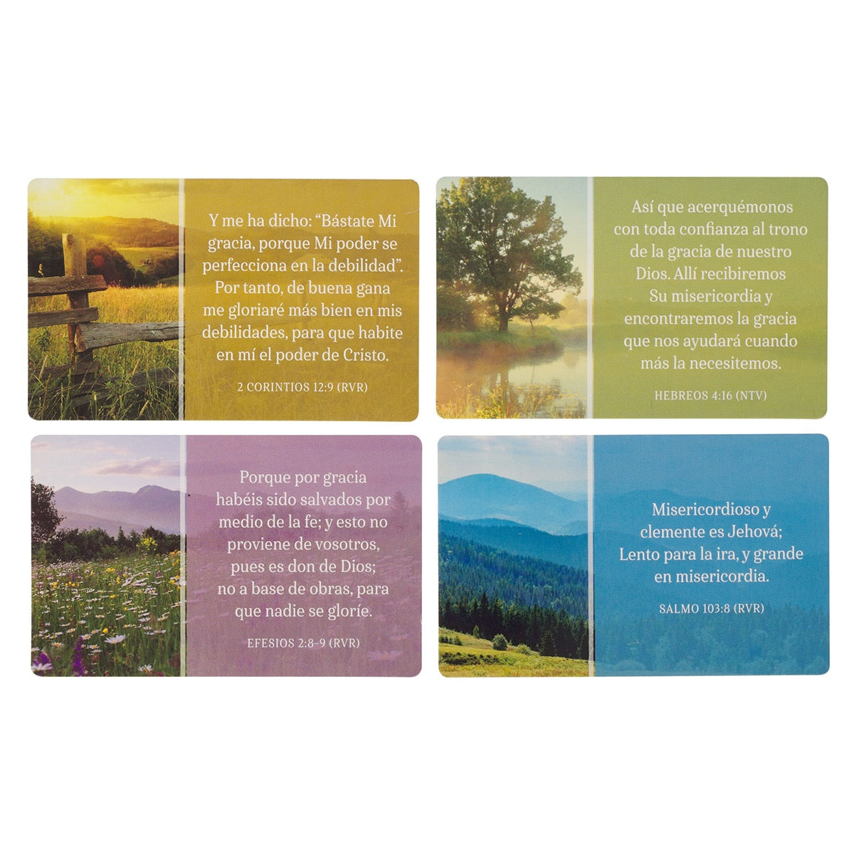 Conjunto Gracia para hoy Constructores de Fe