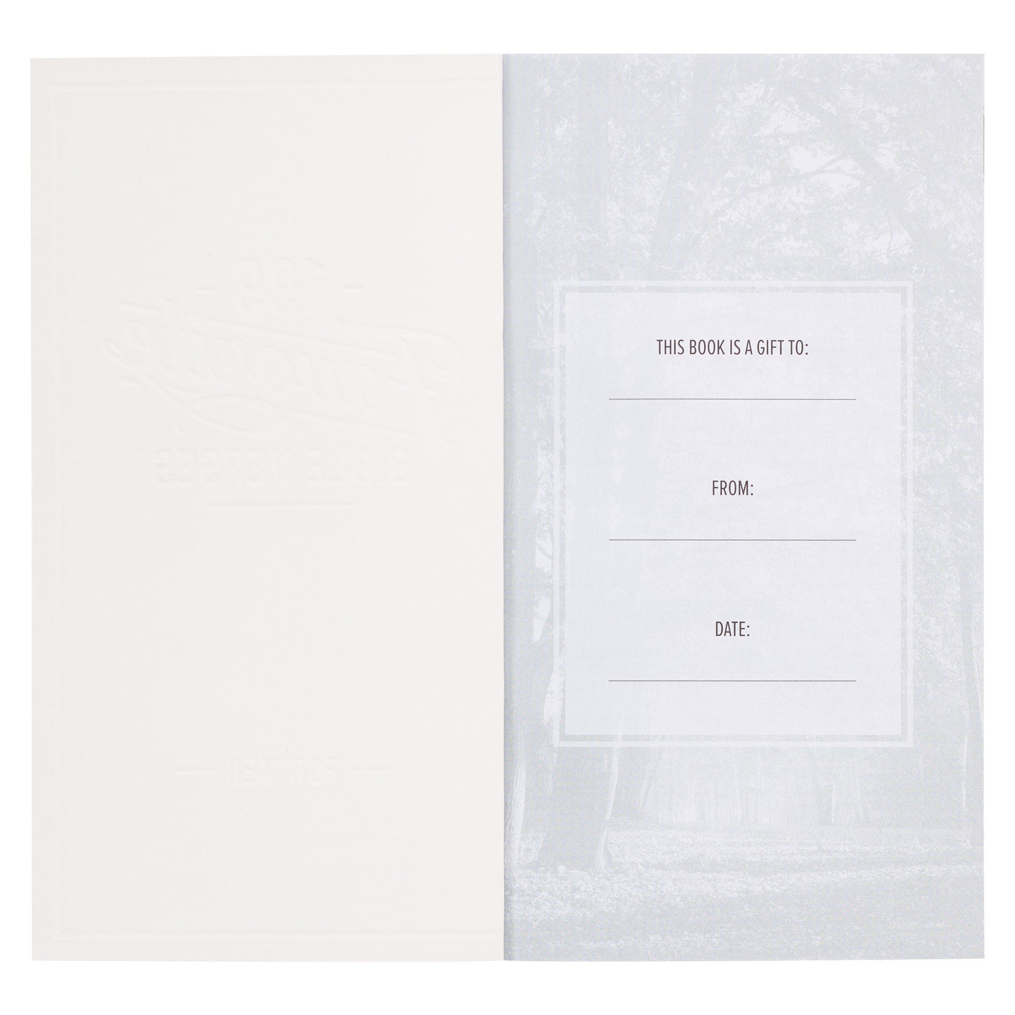 199 Favorite Bible Verses for Men Gift Book