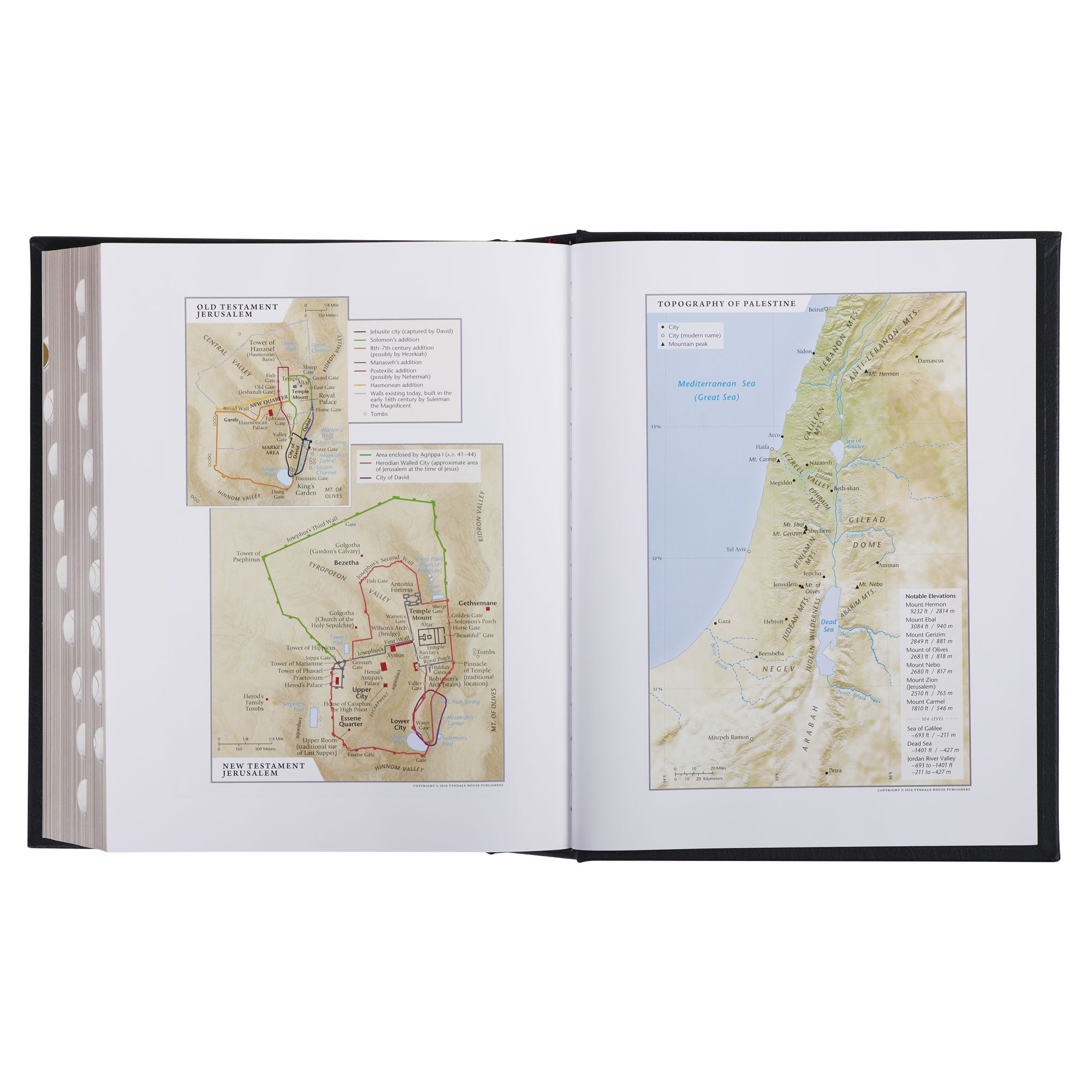 Black Full Grain Leather Family Heritage Bible