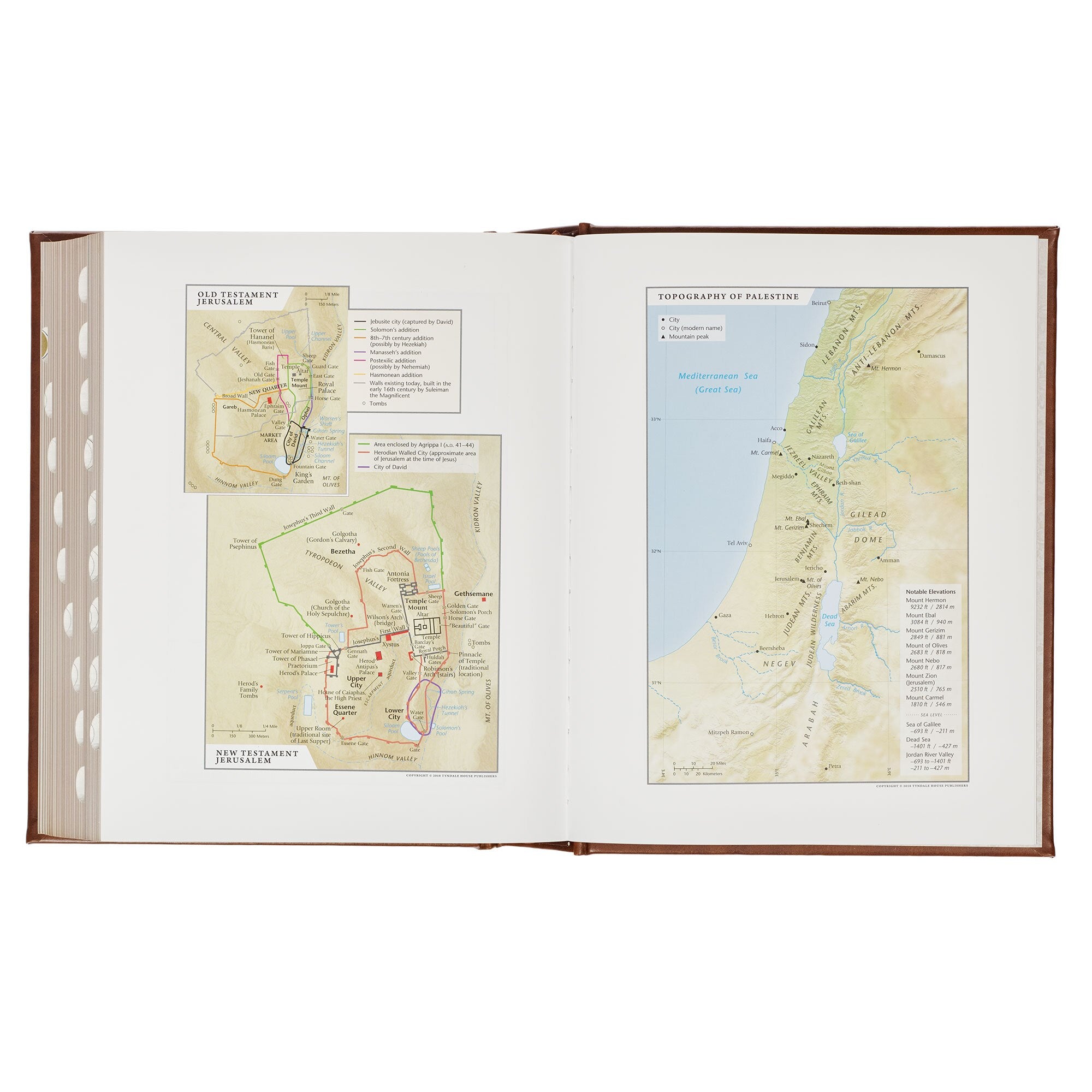 Brown Faux Leather Family Heritage Bible