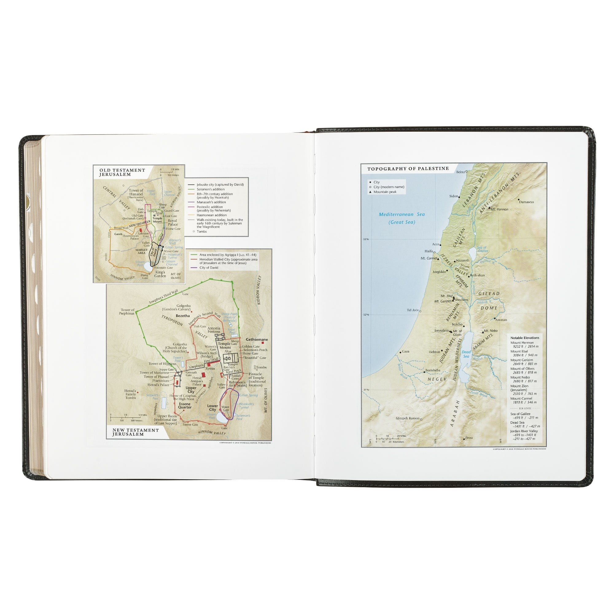 Two-tone Brown Faux Leather Family Heritage Bible