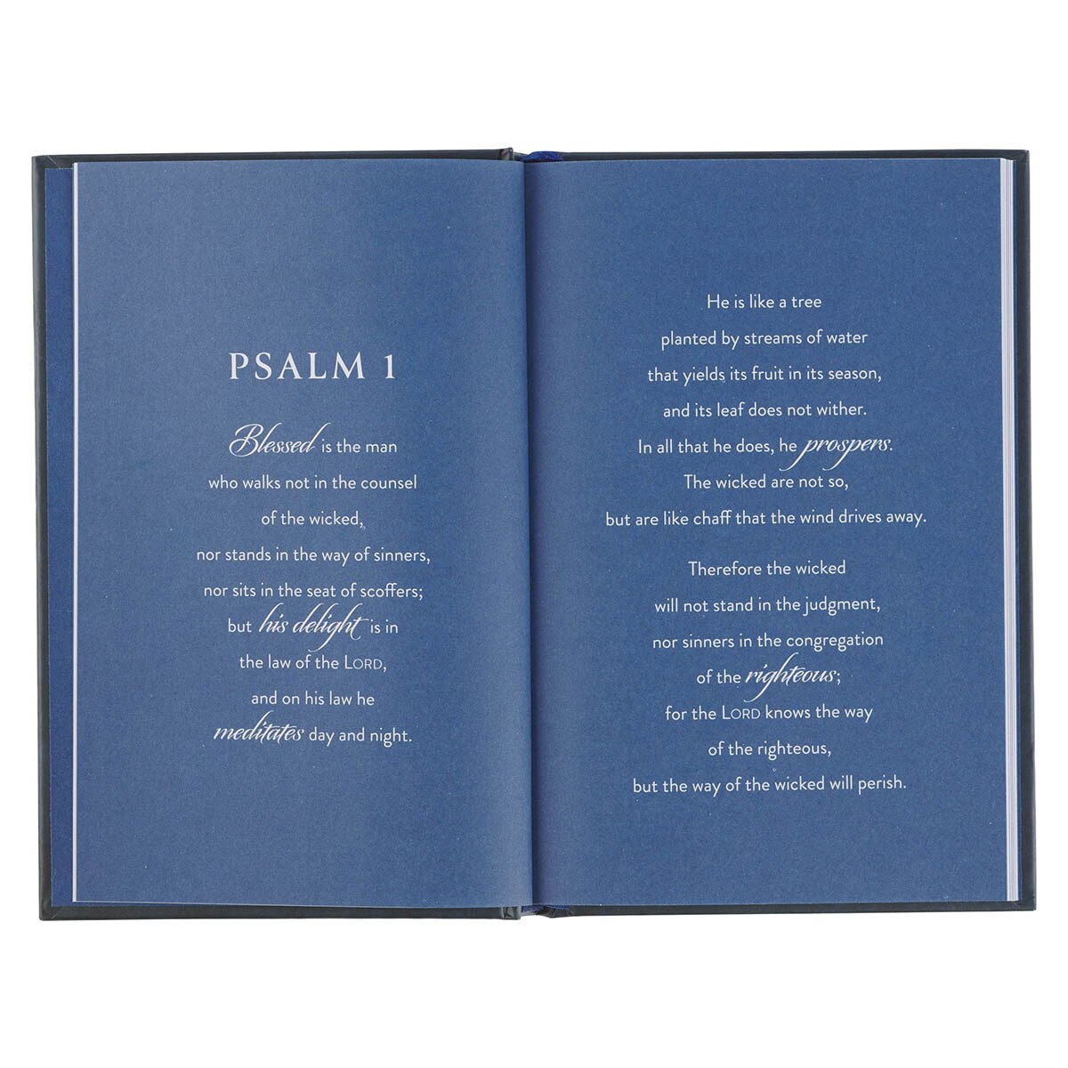 Shaped by God Blue Hardcover Gift Book