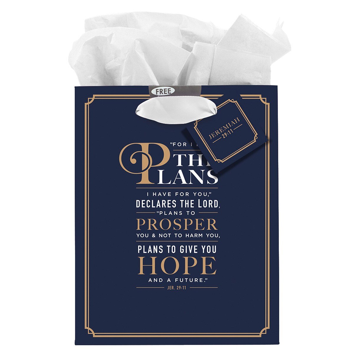For I Know the Plans Medium Gift Bag - Jeremiah 29:11