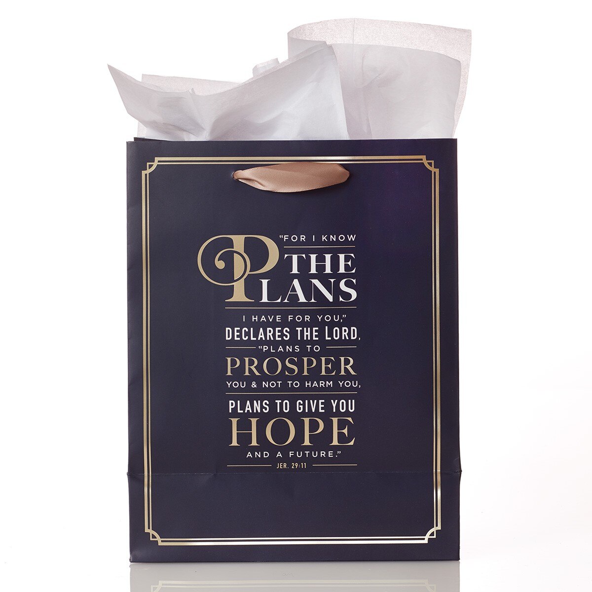 For I Know the Plans Medium Gift Bag - Jeremiah 29:11