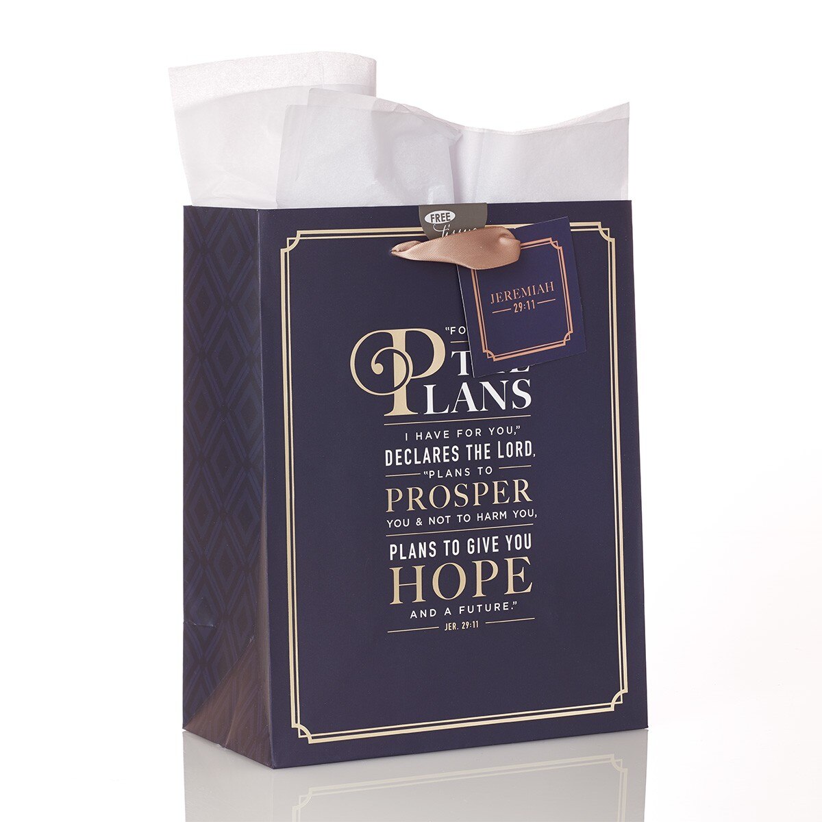 For I Know the Plans Medium Gift Bag - Jeremiah 29:11