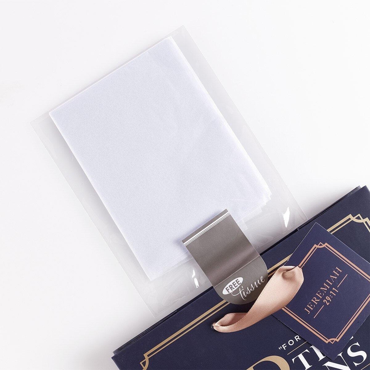 For I Know the Plans Medium Gift Bag - Jeremiah 29:11