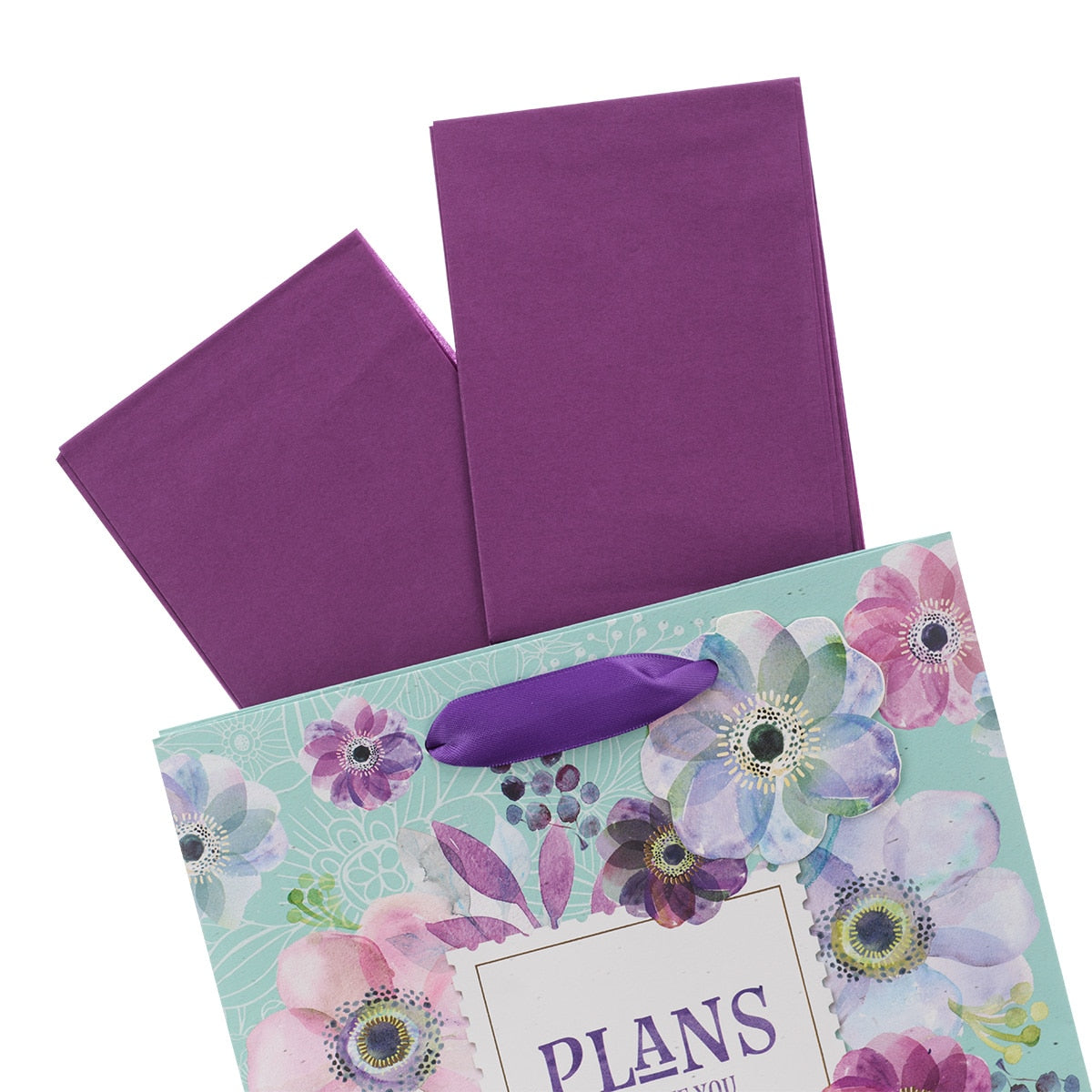 Medium Gift Bag: Plans Hope Future - Jeremiah 29:11