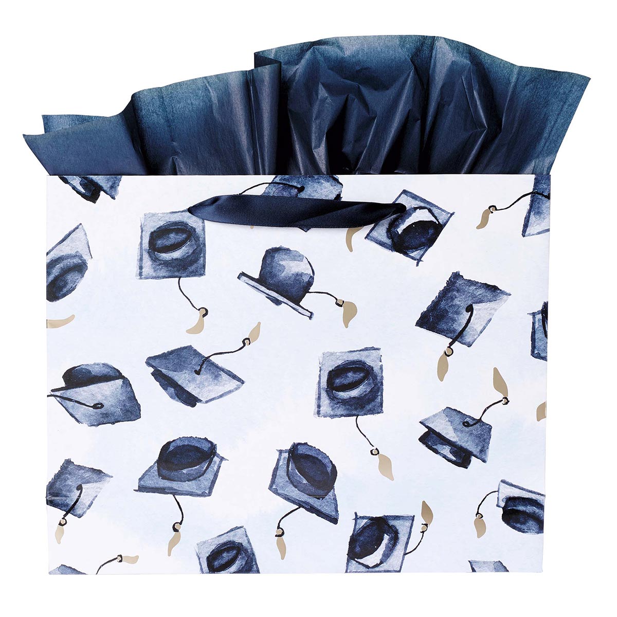 Hope & a Future Large Blue Gift Bag Set for Graduates with Card and Envelope  - Jeremiah 29:11