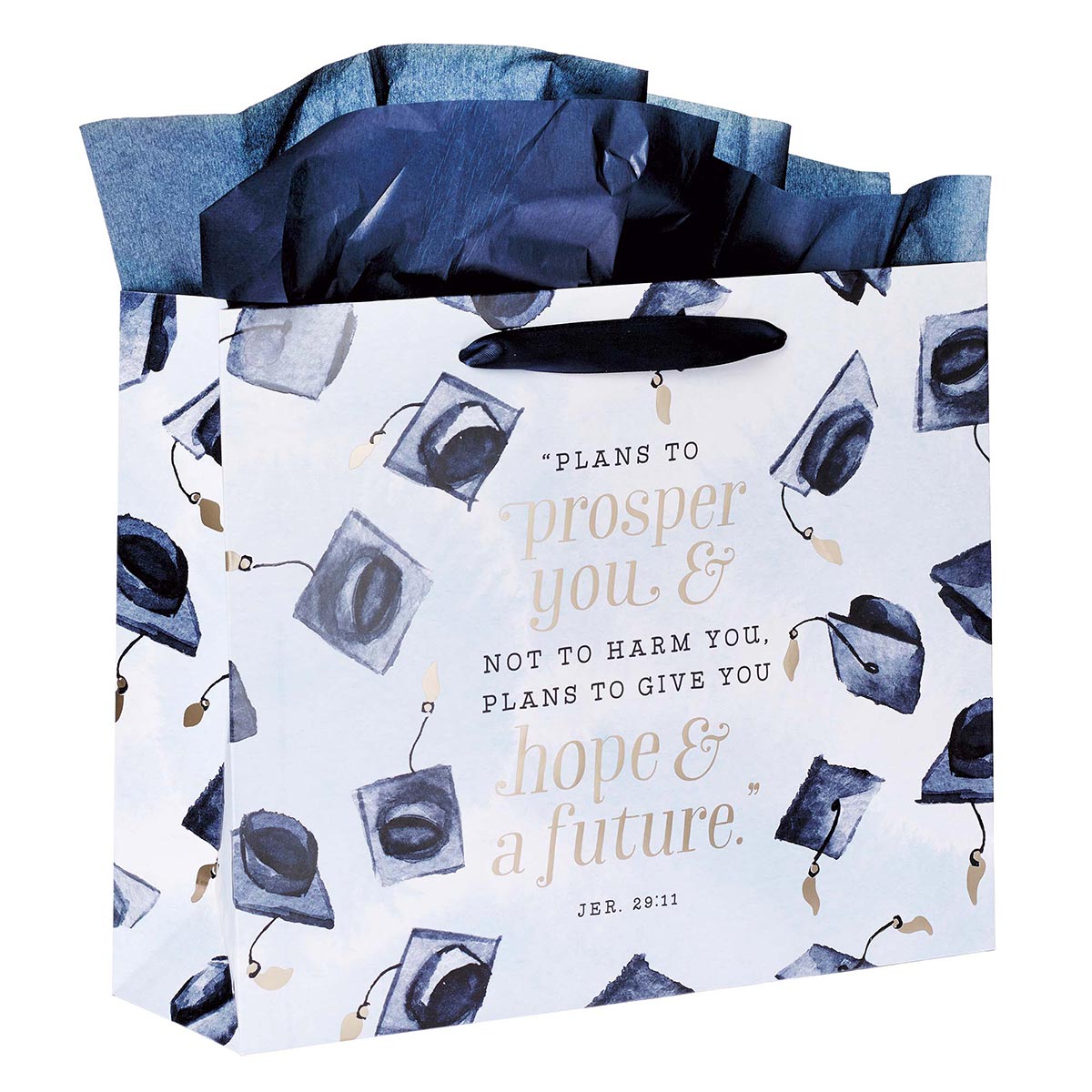 Hope & a Future Large Blue Gift Bag Set for Graduates with Card and Envelope  - Jeremiah 29:11
