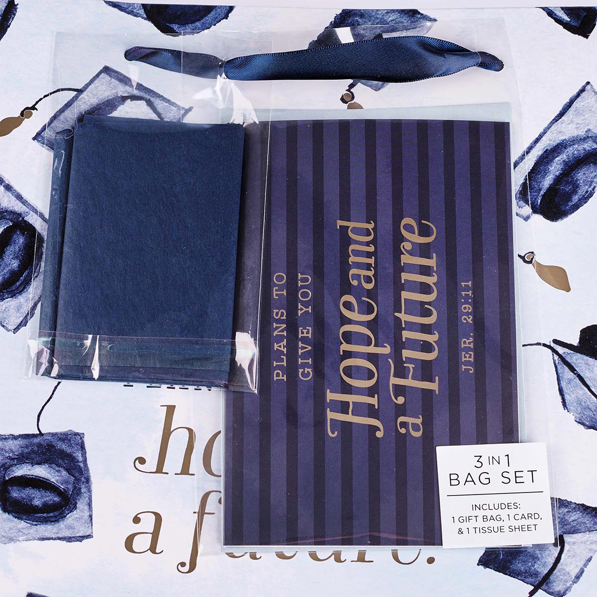 Hope & a Future Large Blue Gift Bag Set for Graduates with Card and Envelope  - Jeremiah 29:11