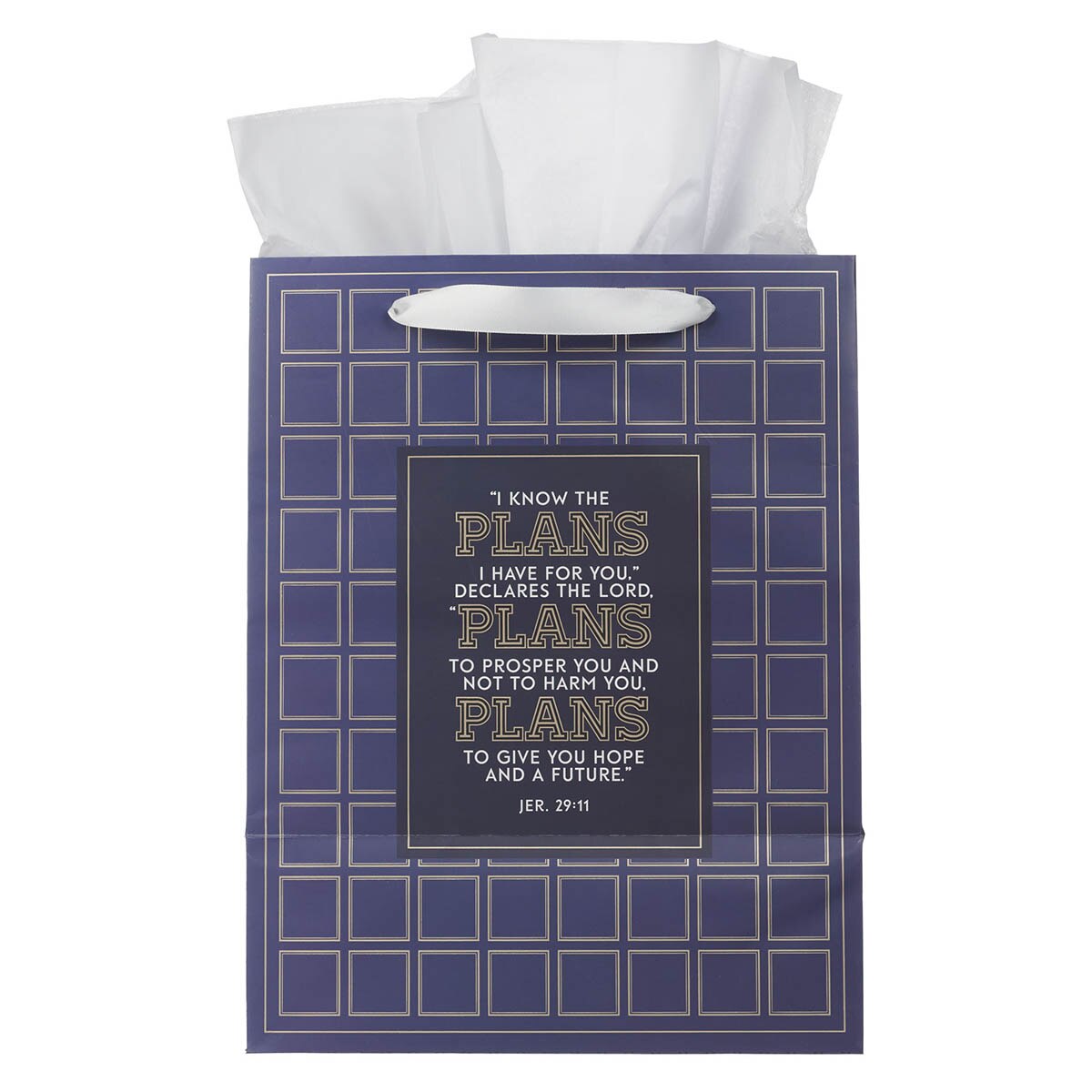 The Plans Modern Blue Grid Large Portrait Gift Bag - Jeremiah 29:11