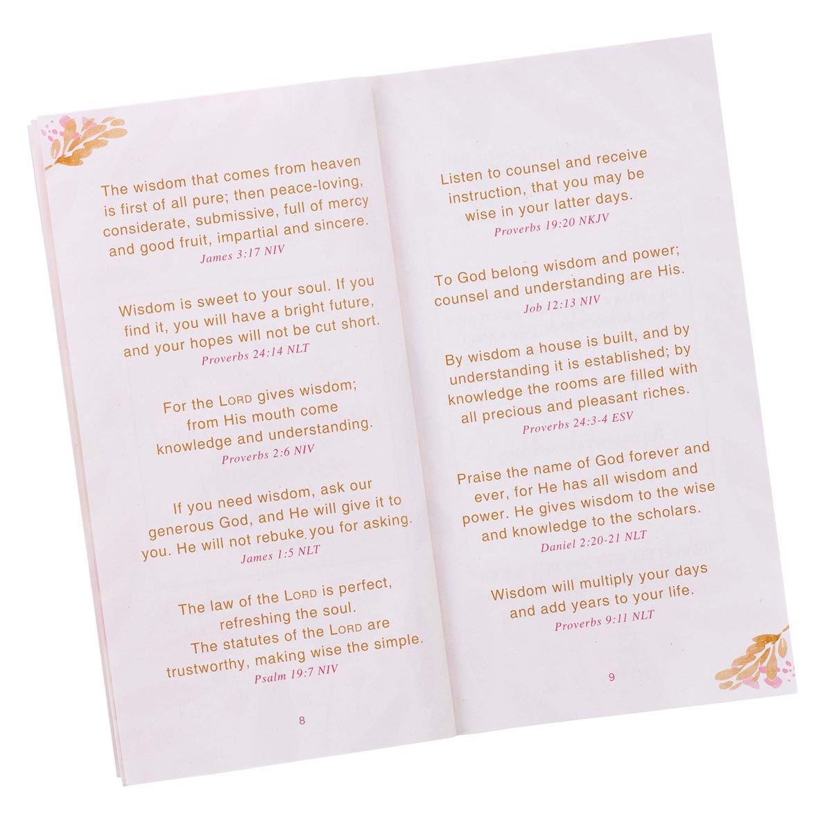 Promises From God For Mothers Pink and Green Softcover Promise Book