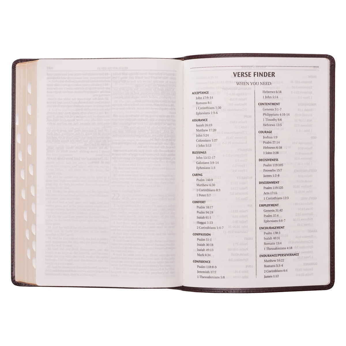 Dark Brown Faux Leather Large Print Thinline King James Version Bible with Thumb Index
