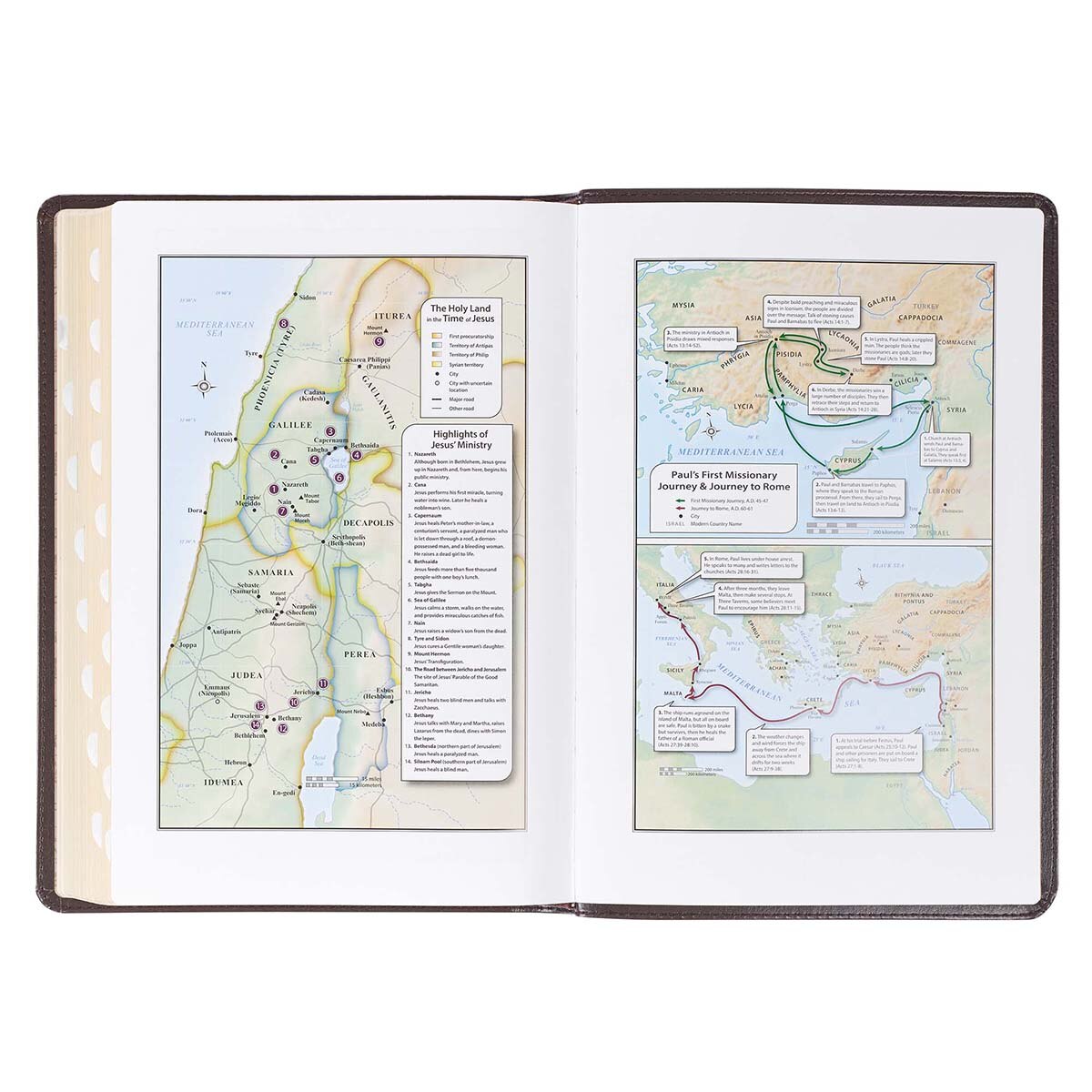 Dark Brown Faux Leather Large Print Thinline King James Version Bible with Thumb Index