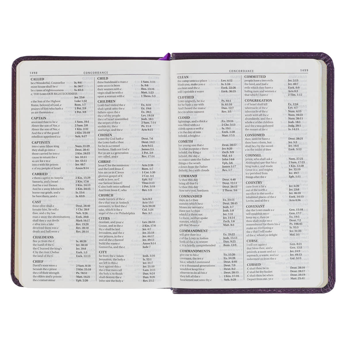 Purple Faux Leather Large Print Compact King James Version Bible