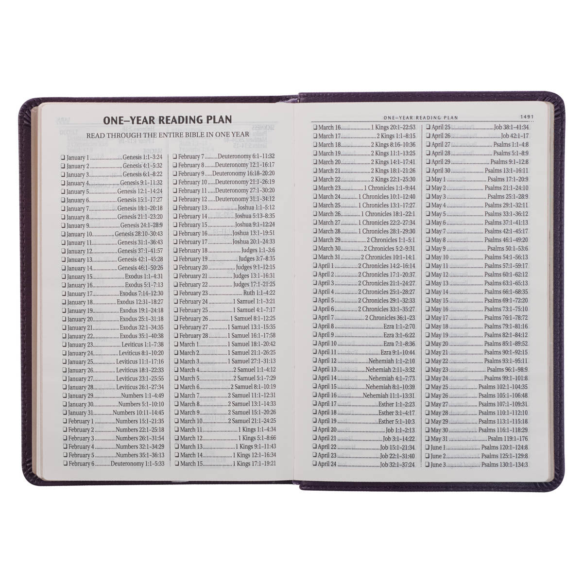 Purple Faux Leather Large Print Compact King James Version Bible