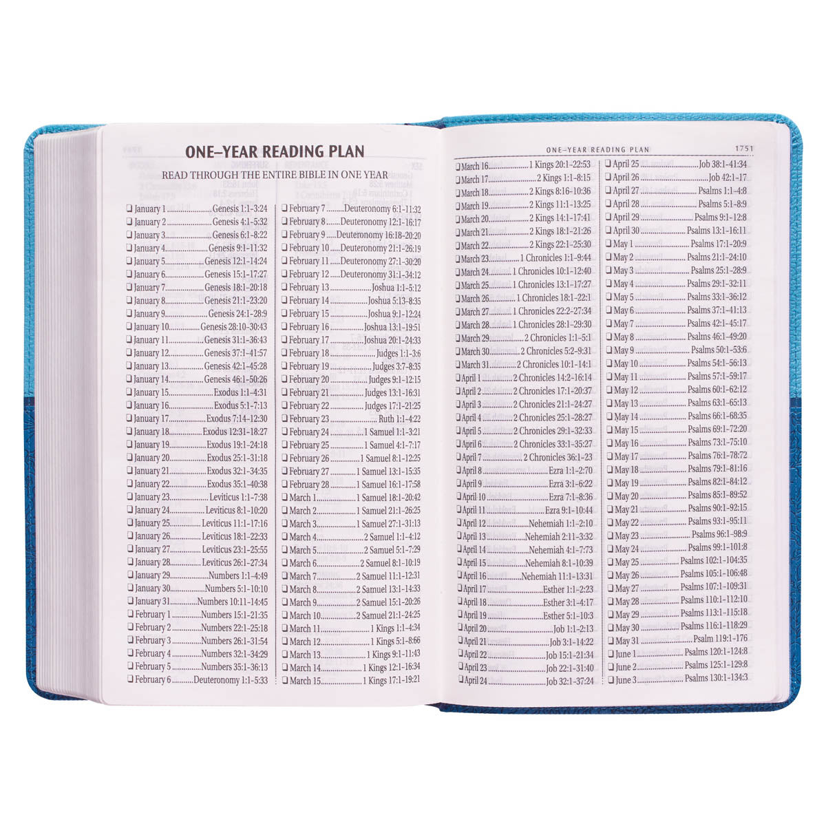 Blue Two-tone Faux Leather Giant Print  Standard-size King James Version Bible