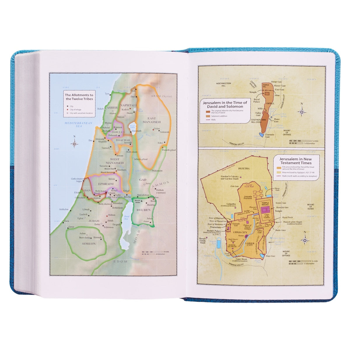 Blue Two-tone Faux Leather Giant Print  Standard-size King James Version Bible