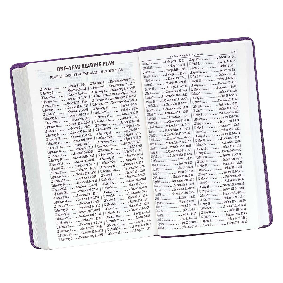 Two-tone Purple Floral Faux Leather Giant Print Standard-size King James Version Bible