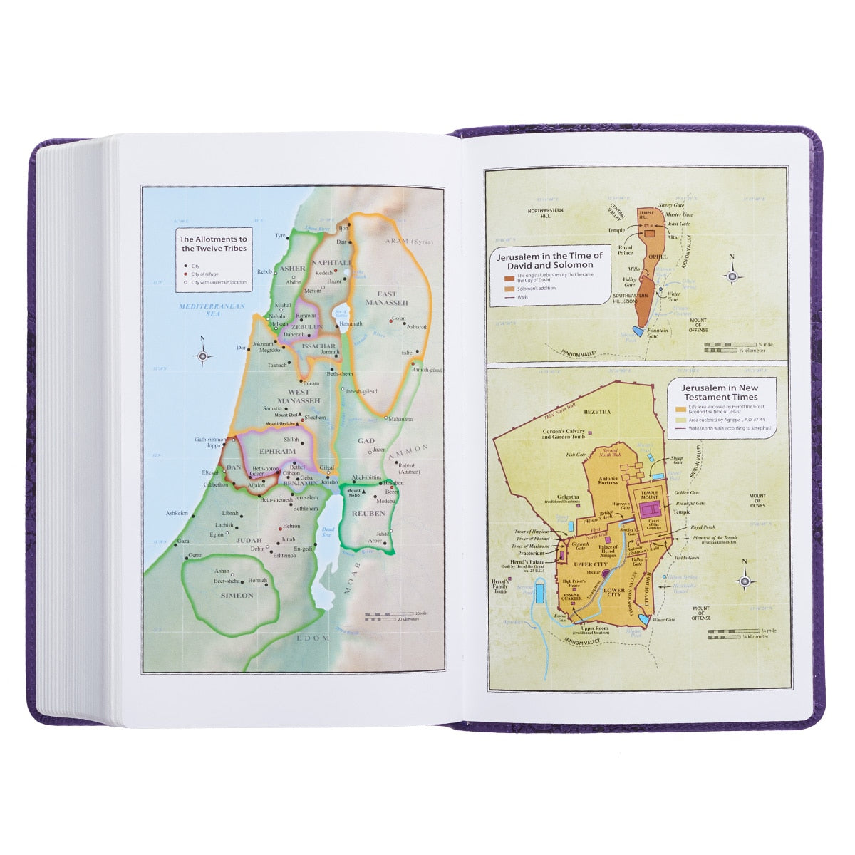 Two-tone Purple Floral Faux Leather Giant Print Standard-size King James Version Bible