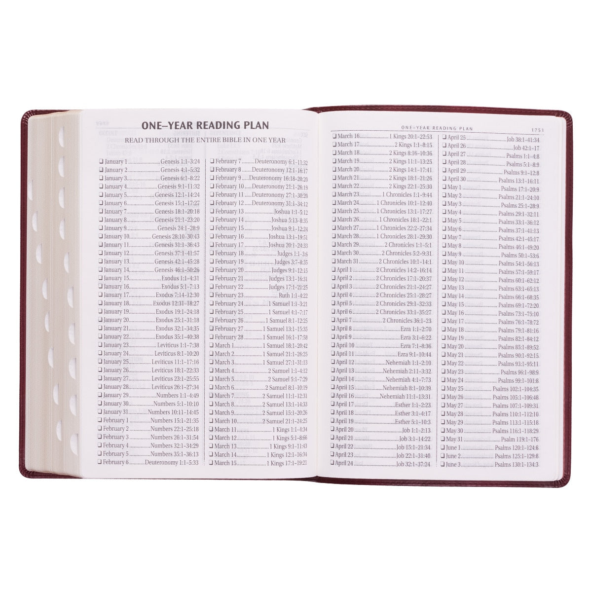 Burgundy Faux Leather Super Giant Print King James Version Bible with Thumb Index