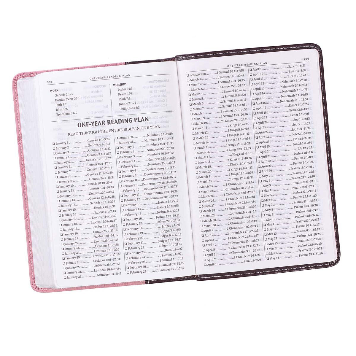 Burgundy and Pink  Faux Leather Compact King James Version Bible