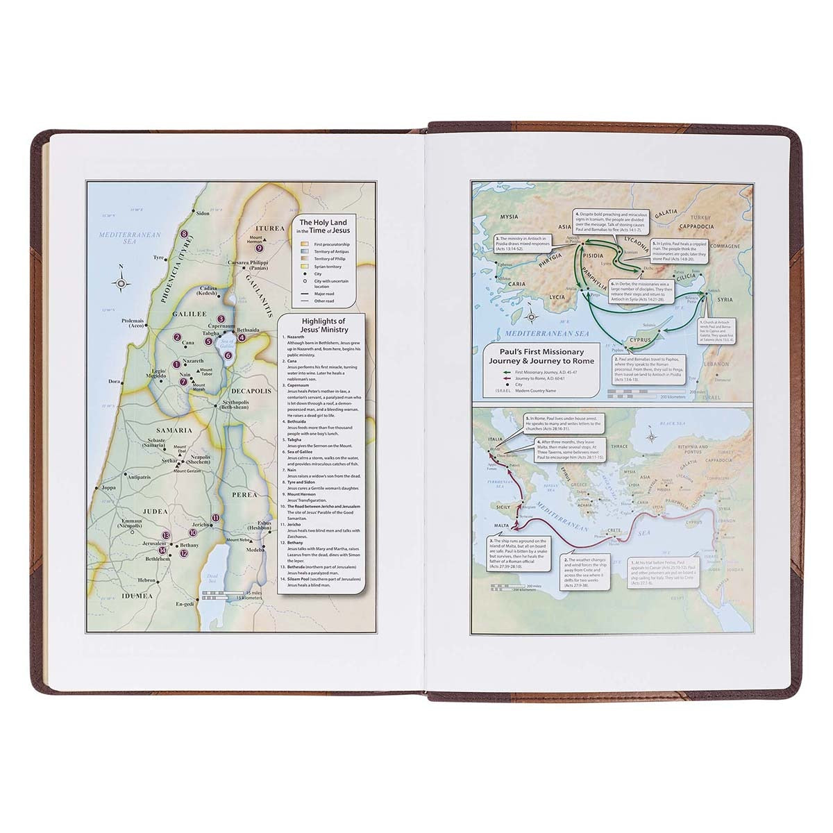 Two-tone Brown Faux Leather Large Print Thinline King James Version Bible 