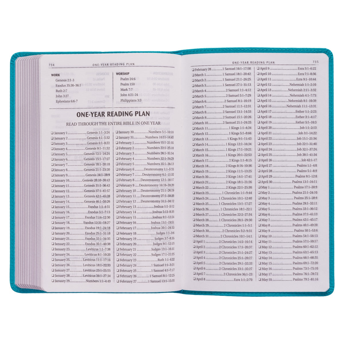 Teal Faux Leather King James Version Gift Edition Bible