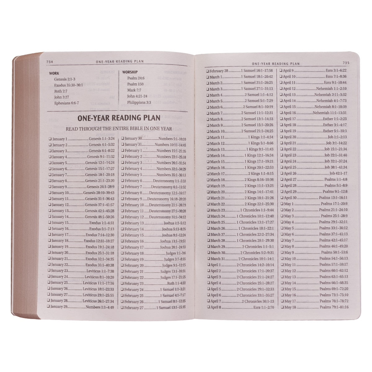 Tan Faux Leather King James Version Gift and Award Bible