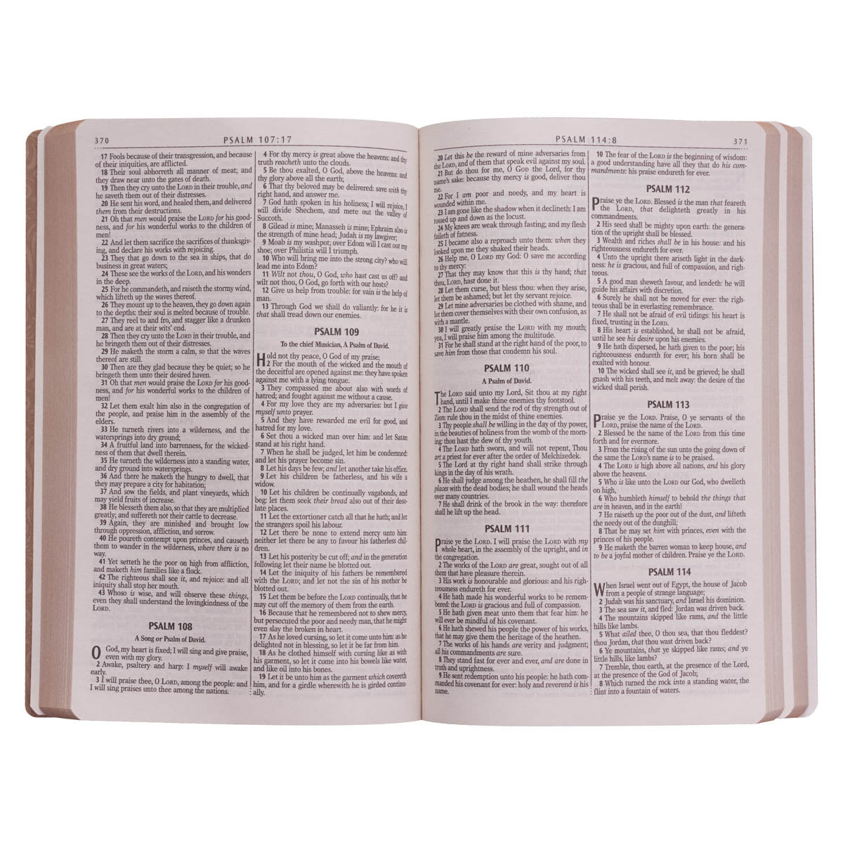 Tan Faux Leather King James Version Gift and Award Bible