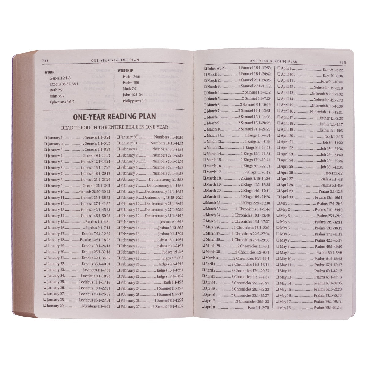 Purple Faux Leather King James Version Gift and Award Bible
