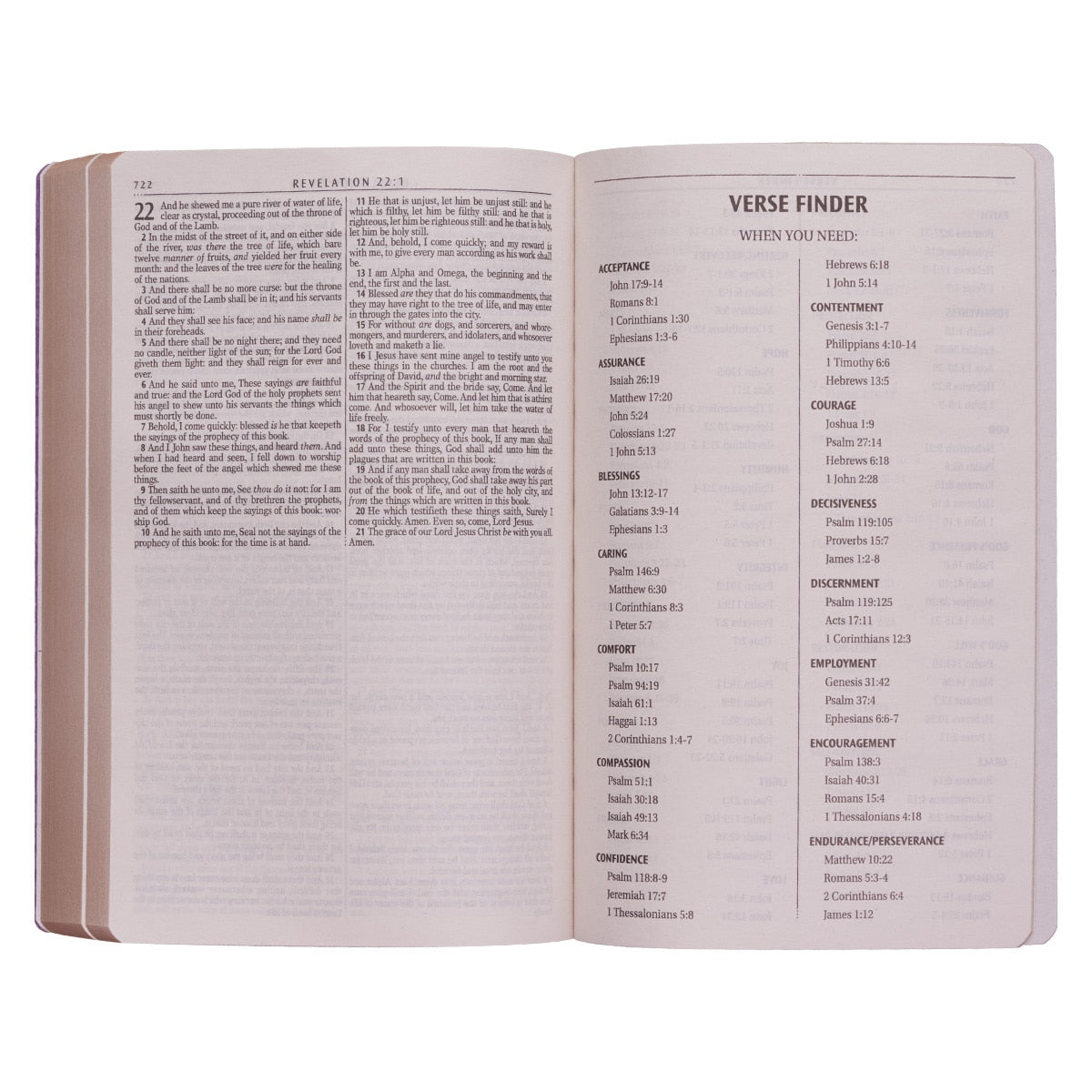 Purple Faux Leather King James Version Gift and Award Bible